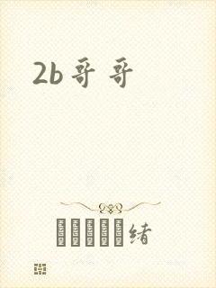 2b哥哥