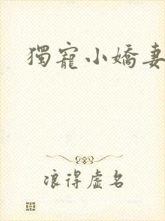 独宠小娇妻封面