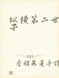 纵横第二世界宽子