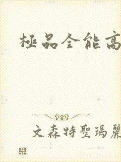 极品全能高手