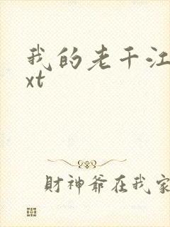 我的老千江湖txt