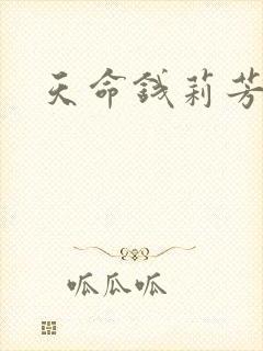 天命钱莉芳封面