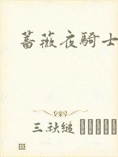 蔷薇夜骑士