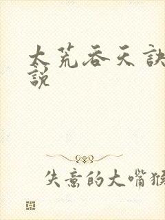 太荒吞天诀 小说