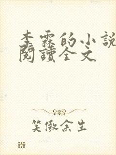 李霖的小说免费阅读全文