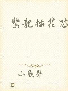 紫龙插花芯