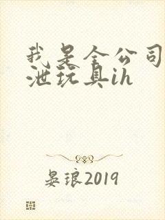 我是全公司的发泄玩具ih