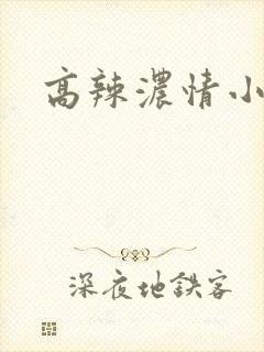 高辣浓情小说