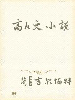 高h文小说