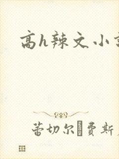 高h辣文小说封面