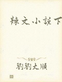 辣文小说下载封面