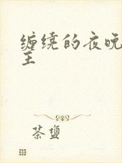 缠绕的夜晚双男主