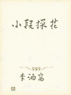 小段探花
