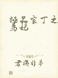 极品家丁之册母为妃封面