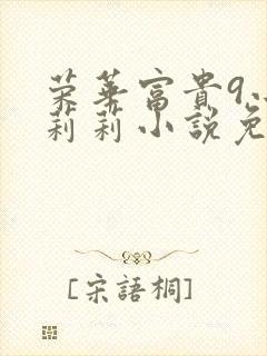 荣华富贵9小王莉莉小说免费阅读