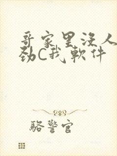 哥家里没人使点劲C我软件