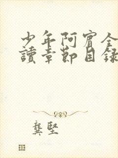 少年阿宾全文阅读章节目录