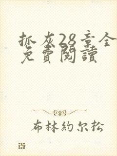 抓灰28章全部免费阅读封面