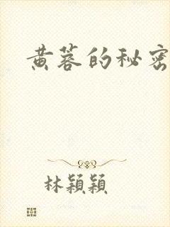 黄蓉的秘密封面