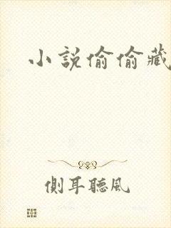 小说偷偷藏不住封面