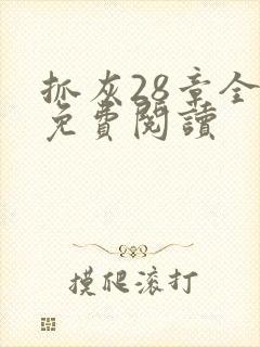 抓灰28章全部免费阅读