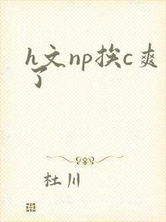 h文np挨c爽了