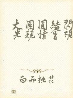 大团圆结闪闪发光亲情会视频