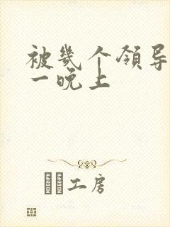 被几个领导玩弄一晚上