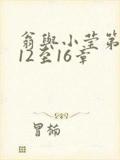 翁与小莹第十部12至16章封面