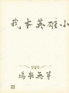 我本英雄小说