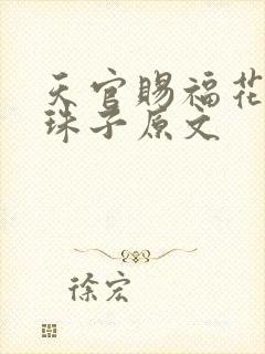 天官赐福花怜塞珠子原文封面
