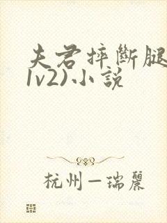 夫君摔断腿后(1v2)小说