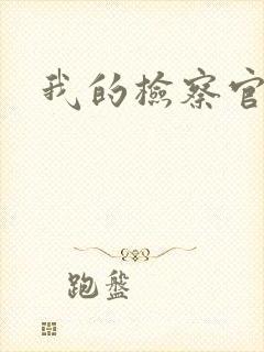 我的检察官先生