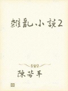 杂乱小说2