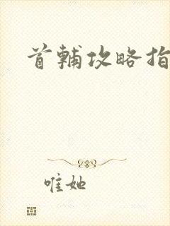 首辅攻略指南