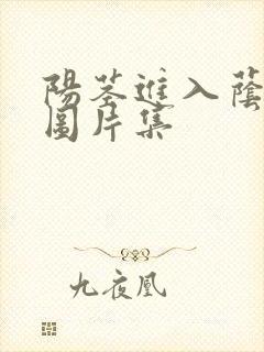 阳茎进入荫道组图片集