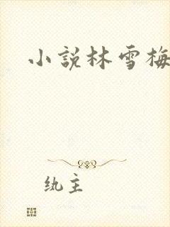 小说林雪梅