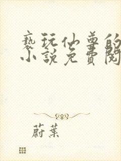 亵玩仙尊的道侣小说免费阅读