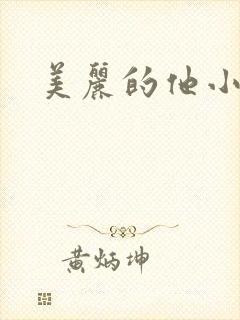 美丽的他小说封面