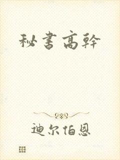 秘书高干封面