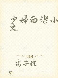 少妇白洁小说全文