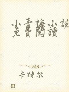 小青梅小说全文免费阅读封面