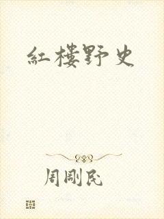 红楼野史