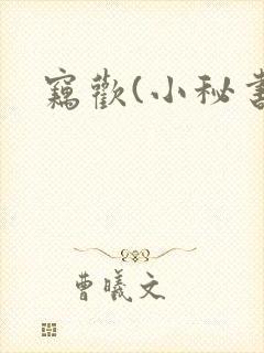窃欢(小秘书)封面