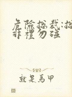 危险总裁:总裁非礼勿碰