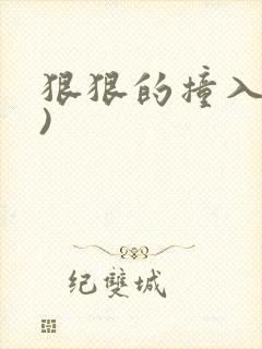 狠狠的撞入(h)