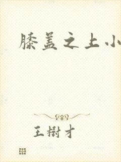 膝盖之上小说