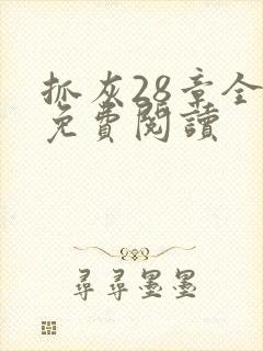 抓灰28章全部免费阅读