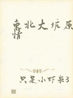 东北大坑原始激情