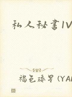 私人秘书1V1